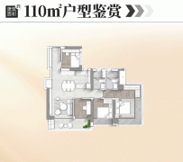 <b>小学就正在口的锦城花</b>