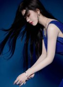 <strong>一是湖北枝江酒业股份无限公司被要500万</strong>